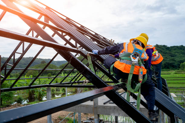 Gutter Installation and Roofing in Forest, MS