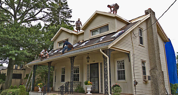 Best Roof Repair Specialists  in Forest, MS