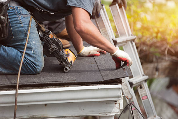 Best Shingle Roofing Installation  in Forest, MS
