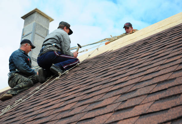 Best Flat Roof Repair Services  in Forest, MS